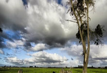 [NBA]坎宁安三分杀 活塞送热火9连败.